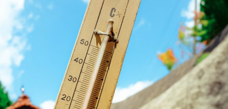 【オフけん健康コラム】夏の健康管理のアイキャッチ画像