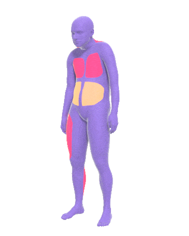 姿勢の未来予測