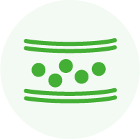 脂質異常症（高脂血症）