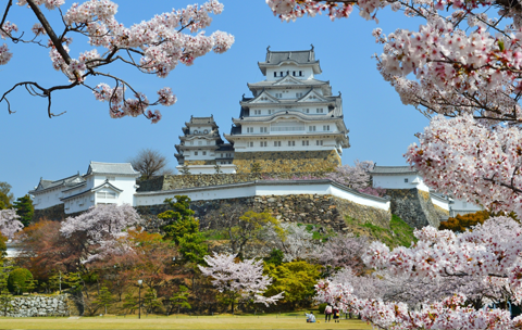 お城巡りが好き。特に姫路城が格別